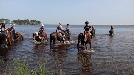 Les Sabots du Temple, Centre Equestres au Temple