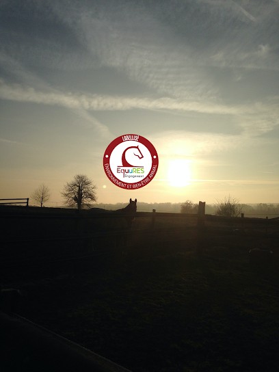 Écurie l'Arche de NOËL, Pension pour Chevaux à Petitmont