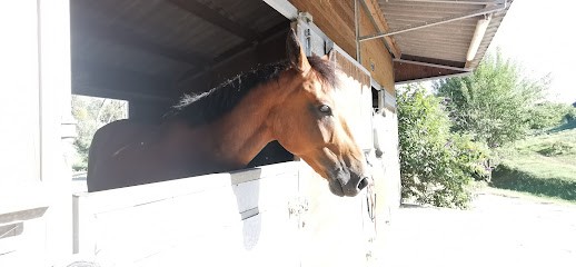 ECURIES DES ECOTS, Centre Equestres à Sauvigny-les-Bois