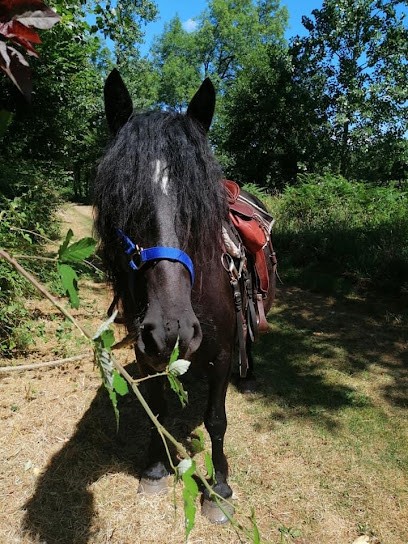 Area Dilki, Centre Equestres au Vigeant