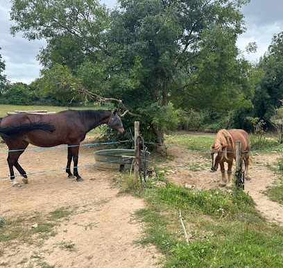 Etrier Country Mellois, Centre Equestres à Melle