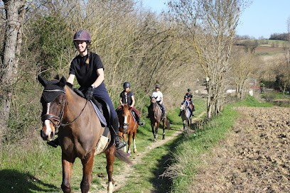 Club Hippique De Montlaur, Centre Equestres à Montlaur