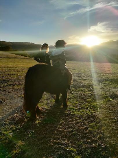 Ranch Caval'en Liberté - Caval'en Toi, Centre Equestres à Olmeta-di-Tuda