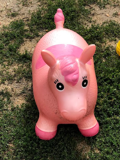 PONEY CLUB DES BREATS, Centre Equestres à Saint-Just-Saint-Rambert