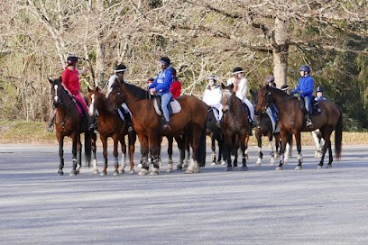 Les Chevaux Toulondit, Centre Equestres à Eymoutiers