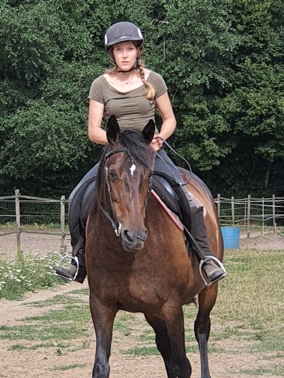 C.s.l. Chevaux Saint Leger, Centre Equestres à Saint-Léger-aux-Bois