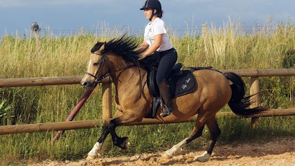 Pony Gônes, Centre Equestres à Orliénas