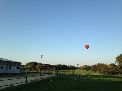 Ecurie du JEM, Pension pour Chevaux à Ploeren