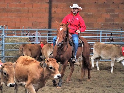 Union Des Cavaliers Atlantic Western, Centre Equestres à Maché