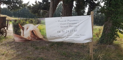 Les Écuries En'vol, Centre Equestres au Thor