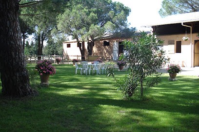 Ecurie du mas de l’étang, Pension pour Chevaux à Manduel