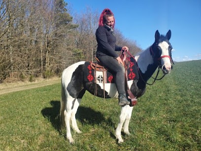 Polard Véronique, Centre Equestres à Plouarzel
