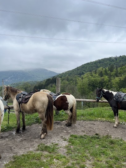 Les Écuries De Chevaline, Centre Equestres à Chevaline