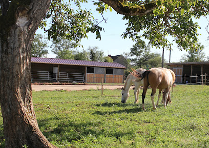 Equi-Logic Centre Équestre à Bonnay-Saint-Ythaire