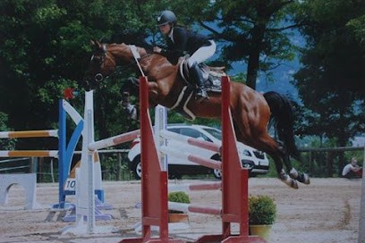 Ecuries de Chalendrat, Pension pour Chevaux à Cunlhat