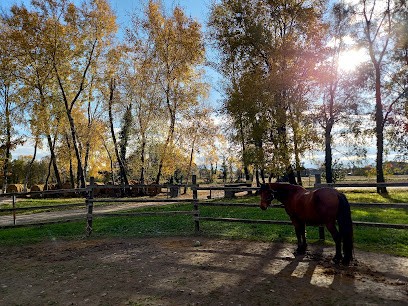 Ecurie D'Idron, Centre Equestres à Idron