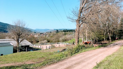 Élevage du Meisenwald, Écurie Muller, Pension pour Chevaux à Niederhaslach