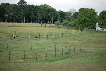 EARL Ecurie De Kerloës, Pension pour Chevaux à Languidic