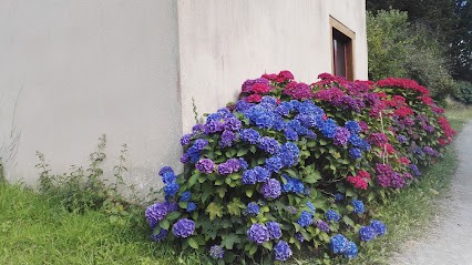 Les Ecuries De La Magdeleine, Centre Equestres à Plouvara