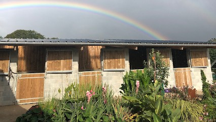 Les Écuries de Manneville, Centre Equestres à Manneville-ès-Plains
