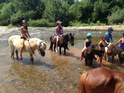 Pony Club La Chapelle, Centre Equestres à Saint-André-de-Sangonis