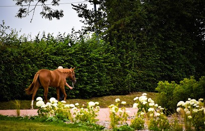 Stud De L'hôtellerie, Centre Equestres aux Champeaux