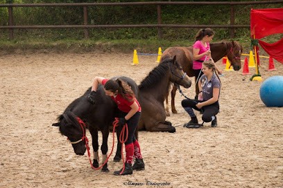 Equestrian Center De Maurecourt, Centre Equestres à Maurecourt