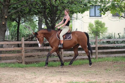 Les Ecuries D'ere Kat, Centre Equestres à Saint-Ambroix