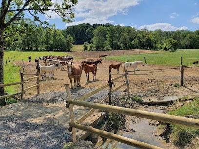 Ferme équestre de la chenaie, Centre Equestres à Givonne