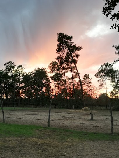 Equestrian Center Ous Pins -, Centre Equestres à Tartas