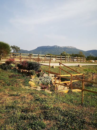 Haras du Triomphe. Flg Maréchalerie., Centre Equestres à Pourrières