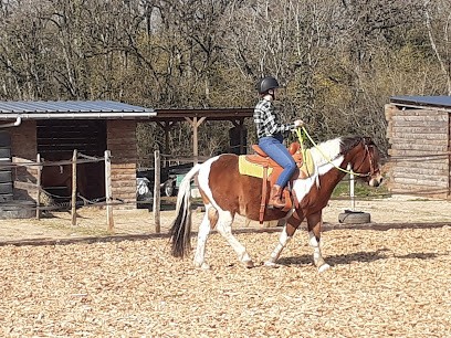 Equi Feeling, Centre Equestres à Chaux
