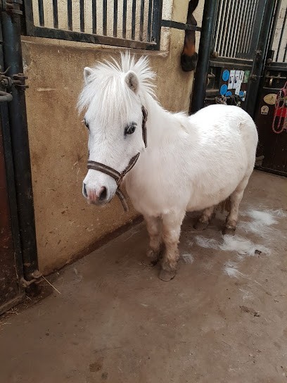 Kali Equitation, Centre Equestres à Entraigues-sur-la-Sorgue