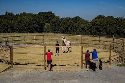 Roulotte De La Lioterie, Pension pour Chevaux à Maillet