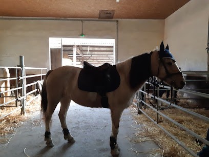 Les Du Lac Bleu, Centre Equestres à Blandin
