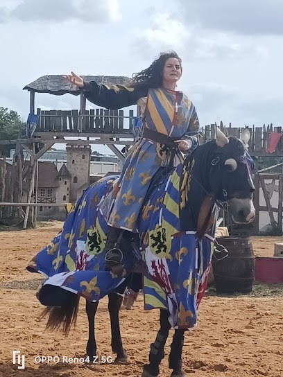 Écurie Des Légendes, Centre Equestres à Saint-Sauveur-d'Aunis