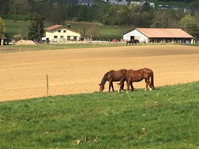 Écurie du Tremblet, Pension pour Chevaux à Essert