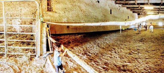 Les Ecuries De Circe, Centre Equestres à Saint-Jean-d'Ardières