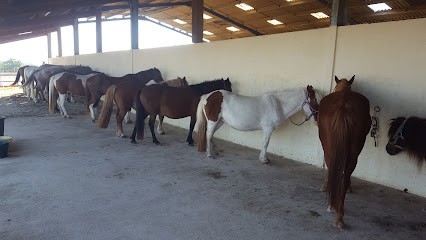 ECURIES DU BOST, Centre Equestres à Saint-Christophe-de-Double