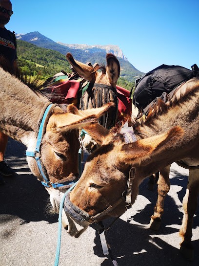 Mont'Ânes, Centre Equestres à Crots