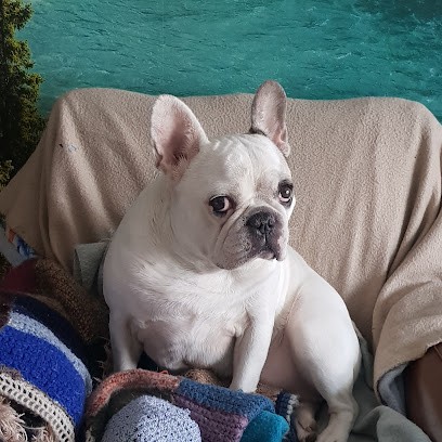 Stables Of Java, Centre Equestres à Senlis