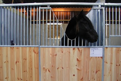 Stables Of Anaphelie, Centre Equestres à Jonage