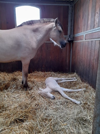 Les Fjords De Cherizy, Centre Equestres à Quierzy