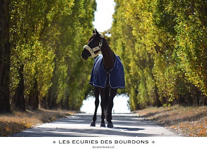 Les Ecuries Des Bourdons, Pension pour Chevaux à Bazainville