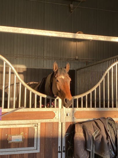 Écurie Quinault, Centre Equestres aux Bréviaires
