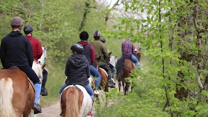 Les Chevaux De Rousieux, Centre Equestres à Serviès