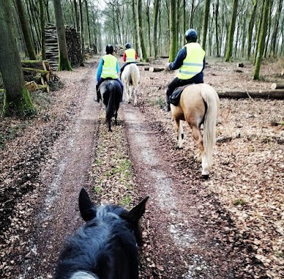 Les Ecuries d'Opale, Centre Equestres à Saint-Riquier-en-Rivière