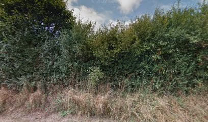 Écurie des rangs, Centre Equestres à Latillé