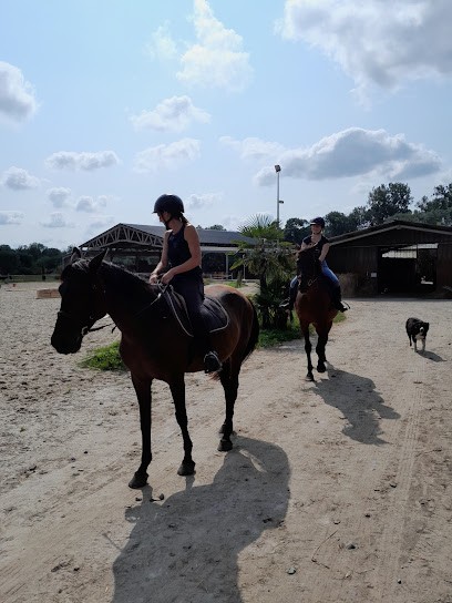 Center Equestrian Of Stalls Du Ga, Centre Equestres à Saint-Germain-de-Salles
