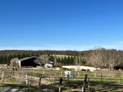Au Paddock Paradis La Gravette Centre Équestre à Bon-Encontre